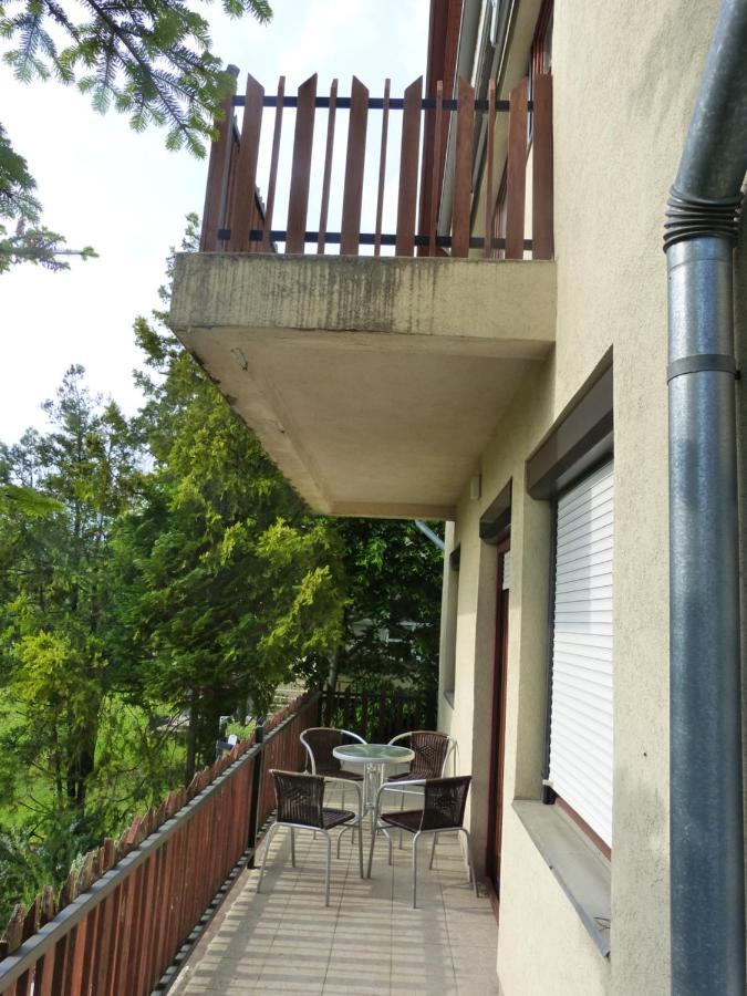 House Elisabeth Balaton Villa Vonyarcvashegy Exterior photo